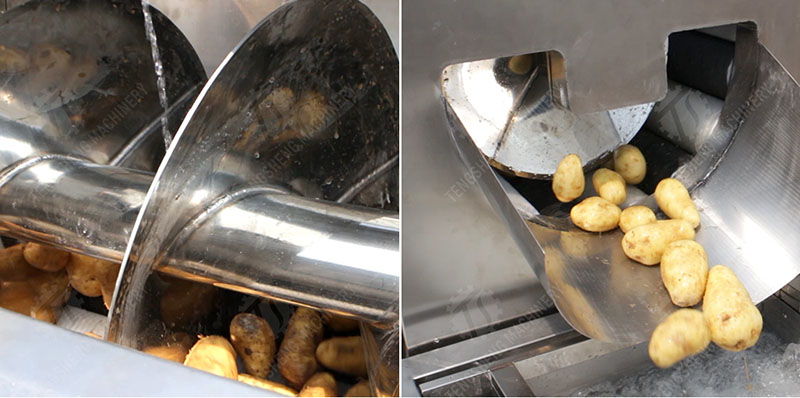 Potato peeling and washing machine