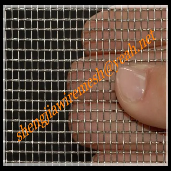 SUS 304 Stainless Steel Wire Mesh/Inox Wire Mesh/Filter Wire Mesh