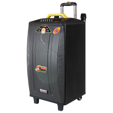 Temeisheng 100W Big Power Portable Trolley Speaker with Telescoping Handle