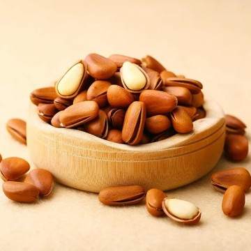 Wholesale bulk dried Pine nuts