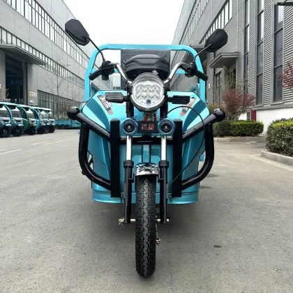 Meidi Wholesale Price Trike Electric Tricycle for Cargo