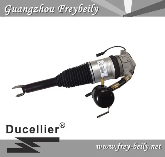 4E0 616 001E/ 4E0 616 002E Left Rear/ Right Rear Air Suspension Shock for Audi A8D3(4E)