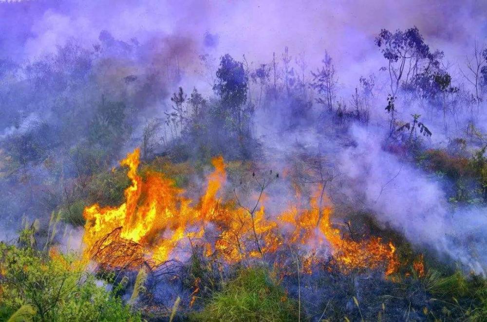 Retardadores de fogo ecológicos