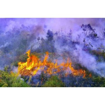 Umweltfreundliche Flammschutzmittel