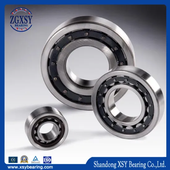 N208/N209/N210/N211/N212/N213/N214/N215/N216 Small China Leading Distributor Wholesaler Expoter Roller Bearings