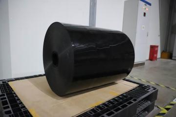 Extruded Plastic PP Sheet for food container forming