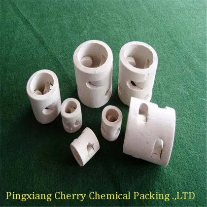 Ceramic Pall Ring