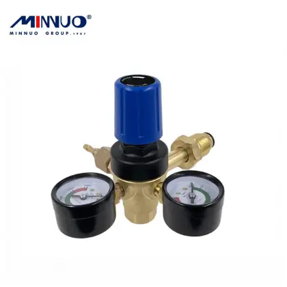 Worldwide Renown Co2 Regulator By Minnuo