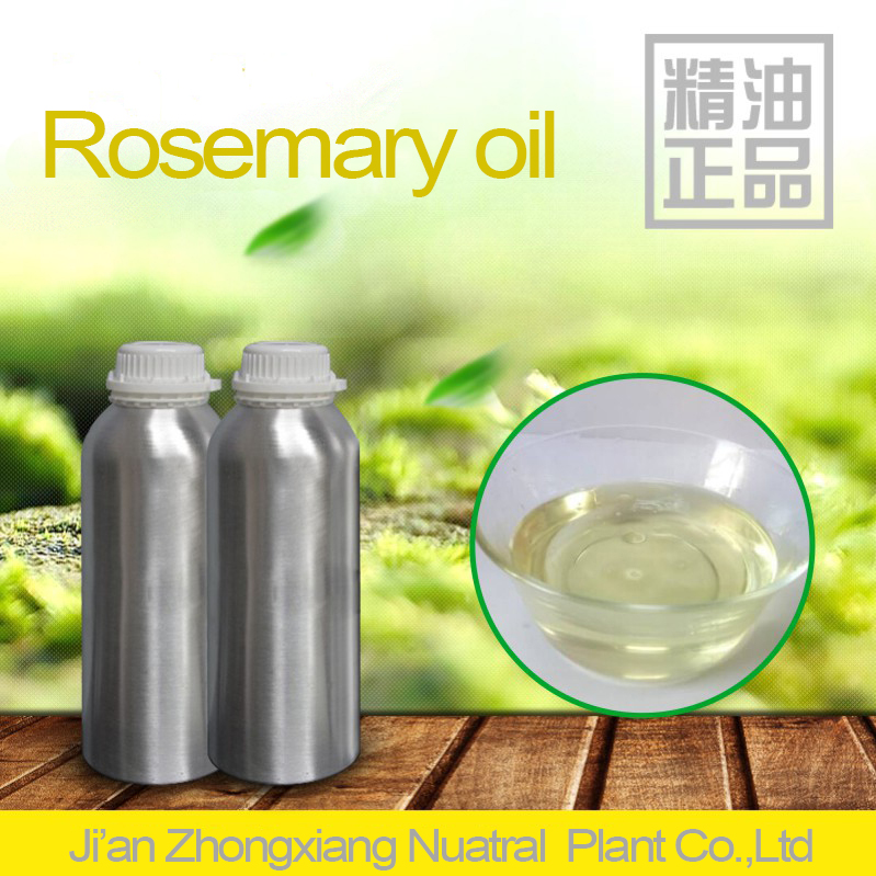 Minyak esensial OEM Rosemary Untuk Wangi