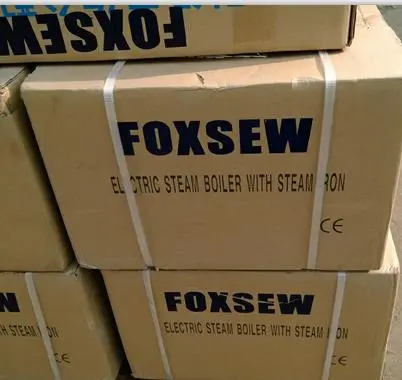 Electric Steam Boiler With Steam Iron