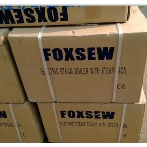 Chaudière électrique à vapeur avec fer à vapeur