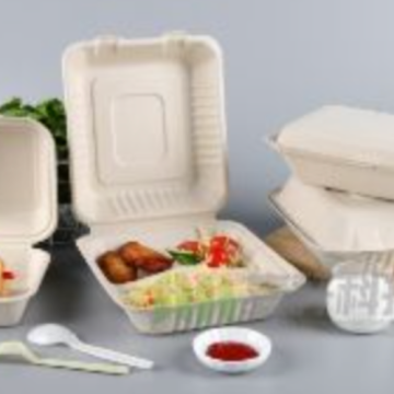 Einweg abbaubare Pulp -Lunchbox