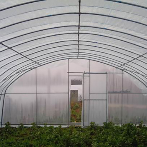 Long Life Prefabricated Simple Structure Tunnel Greenhouse