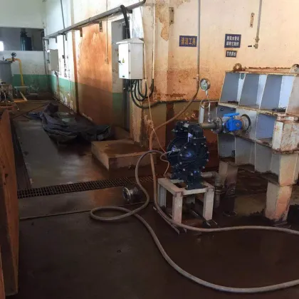 Buna-N EPDM Neoprene Fluororubber FKM Membrane Air Drive Pneumatic Diaphragm Pump