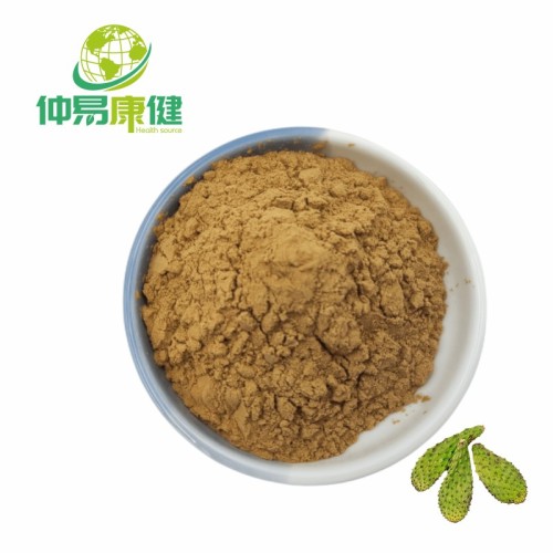 Natural Herbal Cactus Extract Powder