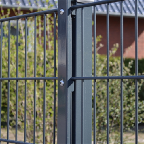 galvanized powder coated 8/6/8 double wire mesh fence