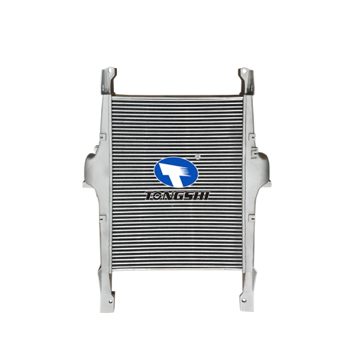 Auto Intercooler for IVECO Stralis AS 440S48