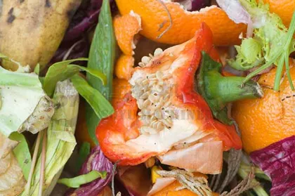 Organic Waste Shredder for Fruit and Vegetable Waste