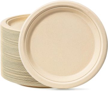 Sugarcane Compostable Disposable Plates - 9 Inch, 50 Pack
