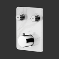 Dual Function Thermostatic Shower Mixer Valve