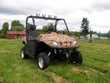UTV 800CC 2-Seater Vehicle (LZ800-1)