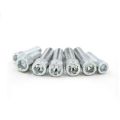 ZP Hex Head Socket Bolt Hexagon Socket Screw