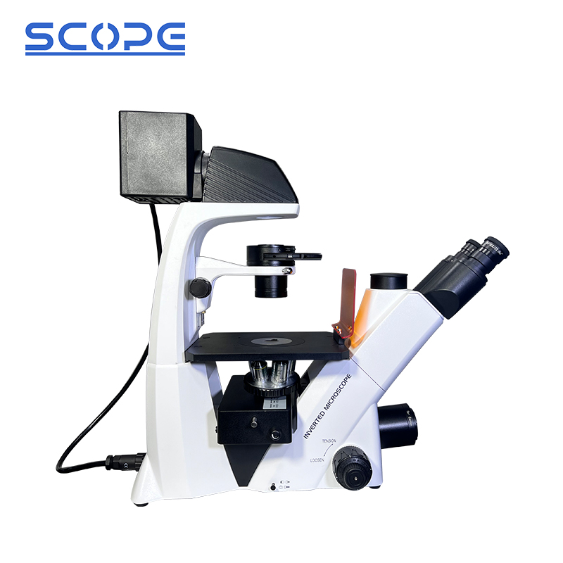 Fl Microscope Bds500-fl Inverted Fluorescence Microscope With Trinocular Head 40x ...