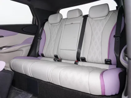 2025 BYD Dolphin 520km Knight Edition