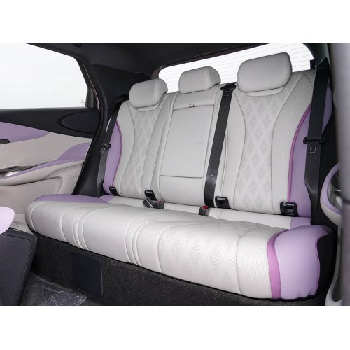 2025 BYD Dolphin 520 km Knight Edition