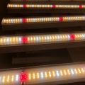 10 Bar LED Grow Light LM301B Πλήρες φάσμα