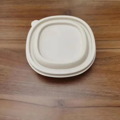 Biodegradable takeout lunch box, hotel disposable lunch box