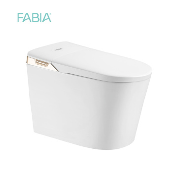 Vente chaude Gold Panle Smart Toilet Bidet