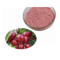 Price fruit Extract Pure Wild Cherry Extract Powder