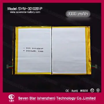 Rechargeable Polymer Lithium Batteries 3000mAh