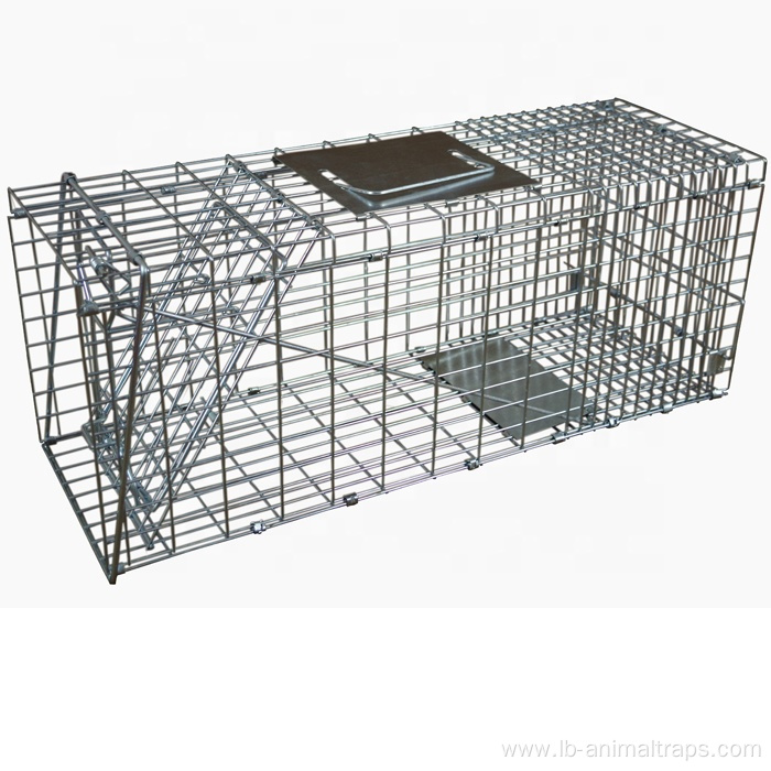 Squirrel Cage Trap With Foot Paddle