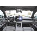 Geely Zeekr 001 100KWH我们