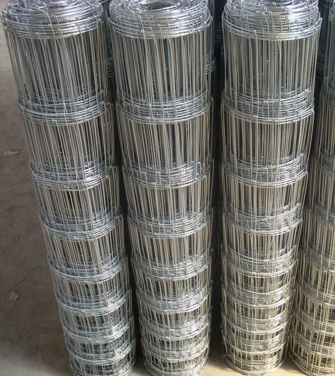 Heavy zinc coated galvanized Filed fence