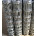 animal protection wire mesh