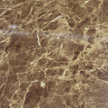 PVDF آلومینیومی خانه تخت ننه