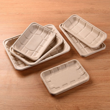 Eco-Friendly Degradable Bagasse Food Trays - Safe, Non-Toxic, and Available in Multiple Sizes