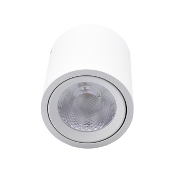 Mordern LED 10W 20W Home Ceiling Lamp Downlights