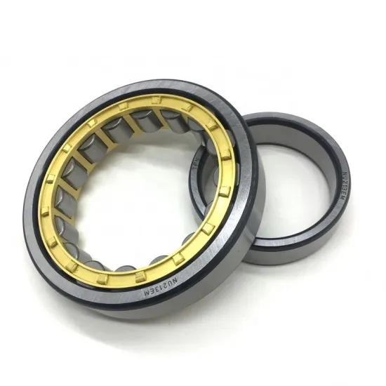 Cylindrical Roller Bearing SL18 for Large and Medium-sized Electric Motors