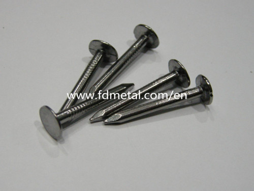 Polished Large Flat Head Nails (FD006)