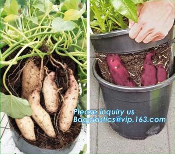 potato grow pot planting bag,Gallon Garden Plastic Nursery Plant Flower Grow Pot for Plants, Black Indoo