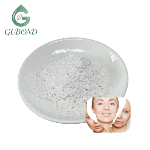 مسحوق إكتوين الأبيض لصناعة المكملات الغذائية