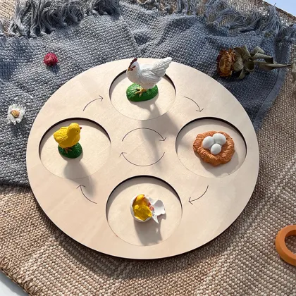 Montessori Wooden Plant Growth Cycle Model: An Educational Toy for Life Science Exploration