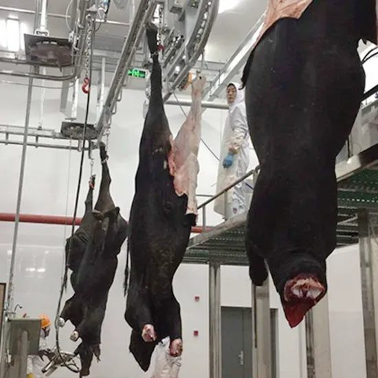 Cattle Abattoir Machine: Cattle Bleeding Automatic Over-Head Convey Rail