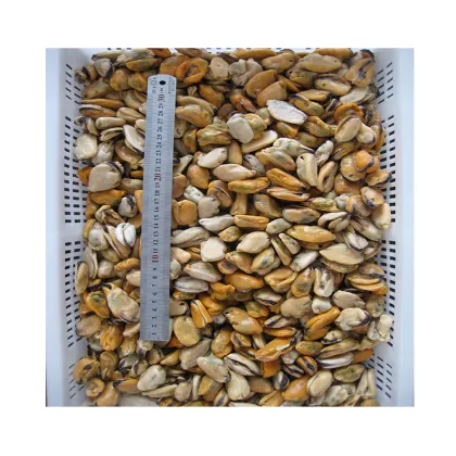 New Season Blue Mussel Mussel Product Detail Good Quality Blue Mussel Detail