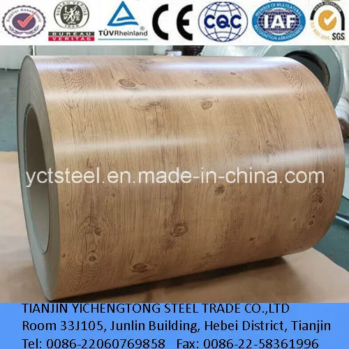 Color Coated Steel Coil/PPGI RAL9010