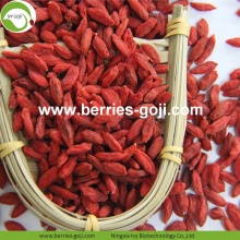 Commerce de gros séché biologique certifié Goji